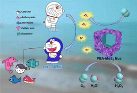 Graphical abstract: PBA-MoS2 nanoboxes with enhanced peroxidase activity for constructing a colorimetric sensor array for reducing substances containing the catechol structure