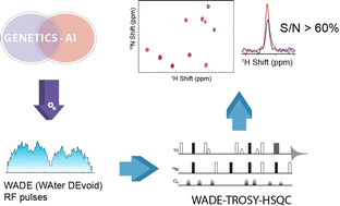 Graphical abstract: Design and applications of water irradiation devoid RF pulses for ultra-high field biomolecular NMR spectroscopy