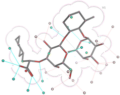 Graphical abstract: Glycomimetics for the inhibition and modulation of lectins