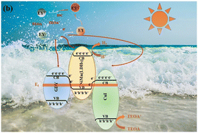 Graphical abstract: Hydrogen production by graphdiyne (CnH2n−2)-based graphdiyne/CuI/NiMn(LDHs) double S-scheme heterojunctions