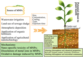 Graphical abstract: Interplay of metal-based nanoparticles with plant rhizosphere microenvironment: implications for nanosafety and nano-enabled sustainable agriculture