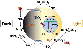 Graphical abstract: Comprehensive study about the heterogeneous conversion of NH3 on nanoscale TiO2 particles: insight into the mechanism and atmospheric implications