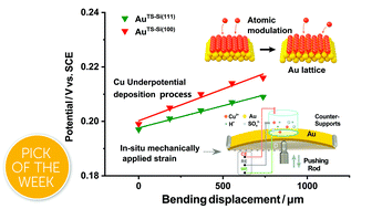 Graphical abstract: In situ lattice tuning of quasi-single-crystal surfaces for continuous electrochemical modulation