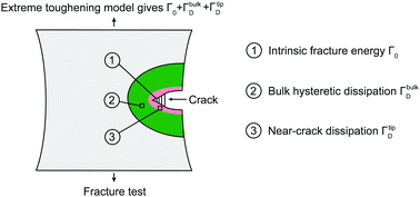 Graphical abstract: An extreme toughening mechanism for soft materials