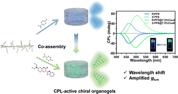 Graphical abstract: Circularly polarized luminescent organogels based on fluorescence resonance energy transfer in an achiral polymer system