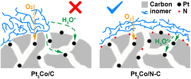 Graphical abstract: Tailoring ionomer distribution in the catalyst layer via heteroatom-functionalization toward superior PEMFC performance