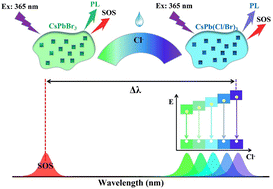 Graphical abstract: Fluorescence wavelength shifts combined with light scattering for ratiometric sensing of chloride in the serum based on CsPbBr3@SiO2 perovskite nanocrystal composite halide exchanges