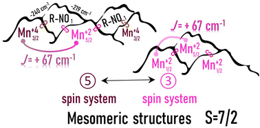 Graphical abstract: Field induced slow magnetic relaxation in a linear homotrinuclear manganese heterospin coordination compound with S = 7/2 ground state and intriguing spin density distribution