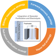 Graphical abstract: Progress on smart integrated systems of seawater purification and electrolysis