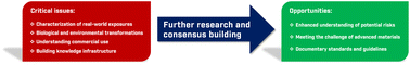 Graphical abstract: U. S. federal perspective on critical research issues in nanoEHS