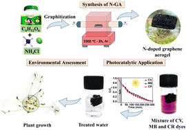 Graphical abstract: Economically viable N-doped graphene aerogel for the photodegradation of structurally different dyes and a plant-model-based environmental assessment