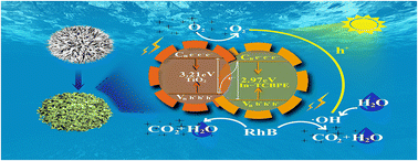 Graphical abstract: High-performance TiO2 catalyst composited with In–1,1,2,2-tetra(4-carboxylbiphenyl)ethylene for the efficient degradation of organic pollutants