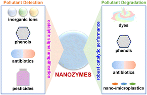 Graphical abstract: Nanozymes: powerful catalytic materials for environmental pollutant detection and degradation