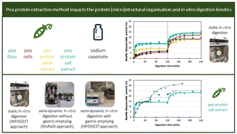 Graphical abstract: Pea protein extraction method impacts the protein (micro)structural organisation and in vitro digestion kinetics