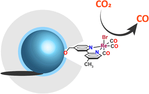 Graphical abstract: Silicon nanocrystal hybrid photocatalysts as models to understand solar fuels producing assemblies