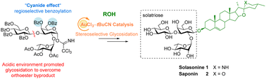 Graphical abstract: Convergent synthesis of glycoalkaloids solasonine and its saponin derivative