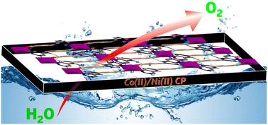 Graphical abstract: Catalyzing towards clean energy: tuning the oxygen evolution reaction by amide-functionalized Co(ii) and Ni(ii) pristine coordination polymers