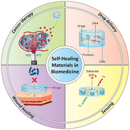 Graphical abstract: Self-healing materials in biomedicine and the circular economy