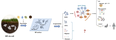 Graphical abstract: Biodegradable plastics in soil: a significant gap from microplastics to nanoplastics and oligomers