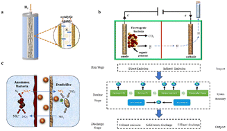 Graphical abstract: Exploring the applications and carbon reduction of multi-technology-coupled membrane biofilm reactors for sustainable wastewater treatment: a review