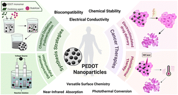 Graphical abstract: Synthesis strategies and cancer therapy applications of PEDOT nanoparticles