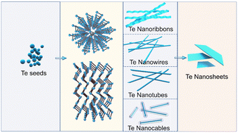 Graphical abstract: Morphology-controlled synthesis, growth mechanism, and applications of tellurium nanostructures