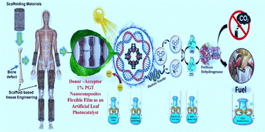 Graphical abstract: Flexible donor–acceptor nanocomposite for triggered photocatalytic CO2 fixation via an artificial leaf approach