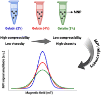 Graphical abstract: MPI performance of magnetic nanoparticles depends on matrix composition and temperature: implications for in vivo MPI signal amplitude, spatial resolution, and tracer quantification