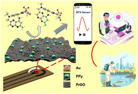 Graphical abstract: Eco-friendly synthesis of a porous reduced graphene oxide–polypyrrole–gold nanoparticle hybrid nanocomposite for electrochemical detection of methotrexate using a strip sensor