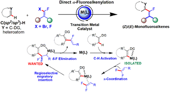 Graphical abstract: Transition metal-catalyzed C(sp2/sp3)–H α-fluoroalkenylation from gem-(bromo/di)fluoroalkenes to monofluoroalkenes: scope, mechanisms, and synthetic applications