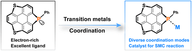 Graphical abstract: Coordination complexes of PIII-doped heterobuckybowls and their applications in catalysis