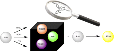 Graphical abstract: Monitoring electrophilic intermediates in reactions of thiols in aqueous solution directly with 19F NMR