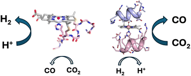Graphical abstract: Electrocatalytic CO2 reduction by a cobalt porphyrin mini-enzyme