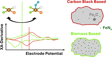 Graphical abstract: Operando X-ray absorption spectroscopy of Fe–N–C catalysts based on carbon black and biomass-derived support materials for the ORR