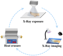 Graphical abstract: Valence regulation in europium-doped fluoride phosphor for high-resolution X-ray time-lapse imaging