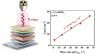 Graphical abstract: Printable thick junction-based lead-free perovskite single crystal powders for X-ray detection