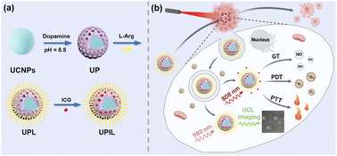 Graphical abstract: Switching between upconversion luminescence imaging and therapy in vitro enabled by NIR excitation modulation of nanocomposites