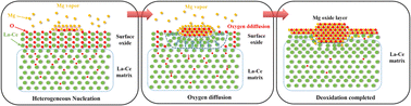 Graphical abstract: Magnesium vapor-assisted deoxidation of La–Ce alloys through micro-alloying