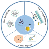 Graphical abstract: Advances in glycan-specific biomimetic molecular recognition and its biomedical applications
