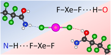 Graphical abstract: Hydrogen-bonded salt cocrystals of xenon difluoride and protonated perfluoroamides
