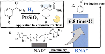 Graphical abstract: Heterogeneous catalytic hydrogenation of N-benzyl nicotinamide: a comparative study with nicotinamide adenine dinucleotide