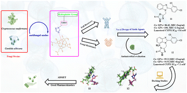 Graphical abstract: Novel benzimidazole hybrids: design, synthesis, mechanistic studies, antifungal potential and molecular dynamics