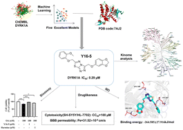 Graphical abstract: Computer-aided discovery of triazolothiadiazoles as DYRK1A-targeted neuroprotective agents
