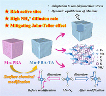 Graphical abstract: Tailoring surface structures in Mn-based Prussian blue analogues for enhanced NH4+ transport and high-performance aqueous batteries