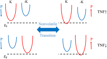 Graphical abstract: Nonvolatile metal–semiconductor transition of a single valley in two-dimensional ferrovalley/ferroelectric van der Waals heterostructures
