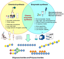 Graphical abstract: Recent advances in chemoenzymatic synthesis of oligosaccharides and polysaccharides