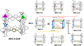 Graphical abstract: Reticular synthesis of a pcu-b framework: digital reticular chemistry for anisotropic modulation and multicomponent integration