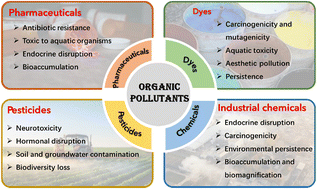 Graphical abstract: Porous porphyrin-based photocatalysts: recent progress and applications in environmental remediation