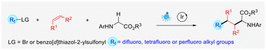 Graphical abstract: Stabilized carbon radical-mediated three-component polyfluoroalkylation of amino acid derivatives