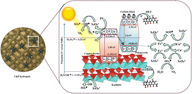 Graphical abstract: Engineered 3D copper ferrite/kaolinite/polypyrrole carbon black hydrogels for efficient persulfate activation in tetracycline degradation: kinetics, mechanistic insights, toxicity, and green metrics